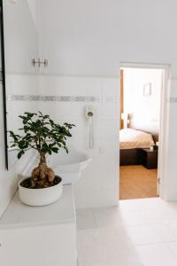 La salle de bains est pourvue d'un lavabo et d'une plante en pot. dans l'établissement Summit Villa, à Chişinău