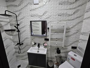 a bathroom with a sink and a mirror and a toilet at Urban hotel Tsalenjikha in Tsalenjikha