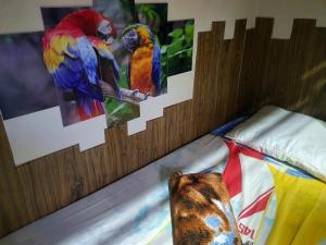 和主人一起入住HOSTEL em Itaipuaçu próximo a praia e terminal da rua 01的宠物