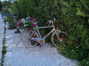 Jazda na bicykli v okolí ubytovania VILLA MONT SAINT LOUP '' 5 mn des plages du CAP d'AGDE''