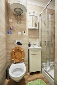 a bathroom with a toilet and a sink and a shower at 29 Avenue Apartments in Kraków