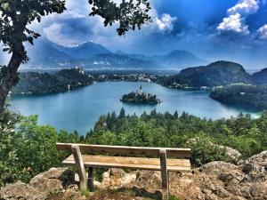 un banco sentado en la cima de una colina con vistas a un lago en Youth Hostel Bledec, en Bled
