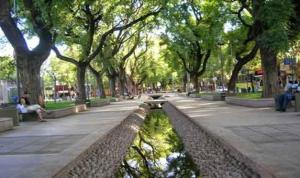 Departamento en Mendoza Capitál في ميندوزا: حديقة فيها بركه واشجار ومقعد