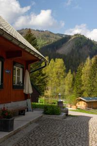 a house with a view of a mountain at Frein Chalets - Kaltenbach in Frein