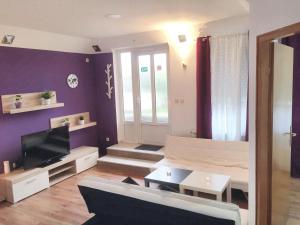 een woonkamer met een bank en een tv bij One bedroom apartement with shared pool enclosed garden and wifi at Rakovica in Rakovica