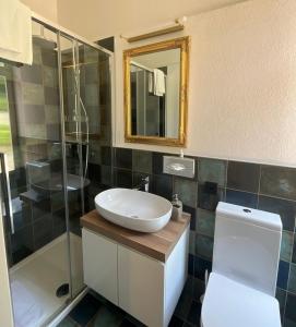 ein Badezimmer mit einem Waschbecken, einem WC und einem Spiegel in der Unterkunft Arbostora Charme Hotel in Morcote