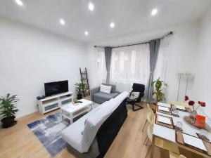 a living room with a couch and a tv at One bedroom apartement with wifi at Molenbeek Saint Jean in Brussels