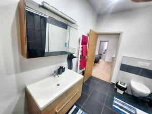La salle de bains est pourvue d'un lavabo et de toilettes. dans l'établissement One bedroom apartement with wifi at Molenbeek Saint Jean, à Bruxelles