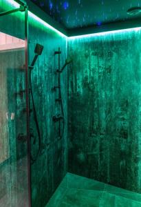 a bathroom with a shower with green walls at OdlotLove in Jędrzejów