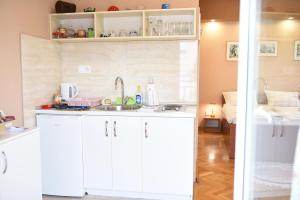 Kuhinja oz. manjša kuhinja v nastanitvi Dalila Apartman Mostar
