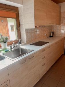 uma cozinha com um lavatório e uma bancada em Ośrodek Wypoczynkowy LINY em Kargowa