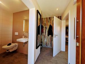 a bathroom with a sink and a toilet at Premiumferienhaus Anni in Hasselfelde