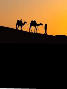 Adrouine的住宿－Tamaris Camp，日落时分,一个男子在山下骑着两只骆驼