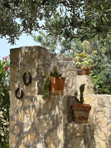 a stone wall with potted plants on it at B&B Villa Alba in San Vito lo Capo
