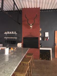 ein Zimmer mit einer Bar mit einem Stierkopf an der Wand in der Unterkunft Big Cats Namibia Self Catering Farm Guesthouse in Outjo
