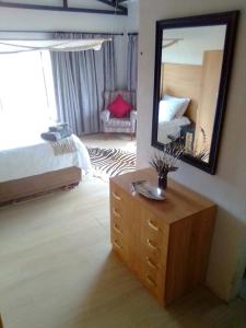 ein Schlafzimmer mit einer Kommode, einem Spiegel und einem Bett in der Unterkunft Big Cats Namibia Self Catering Farm Guesthouse in Outjo