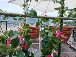 拉帕洛的住宿－Sunrise，阳台配有椅子、鲜花和雨伞。