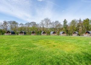 un campo con un grupo de cúpulas en un campo en Hillcroft Park Glamping, en Pooley Bridge