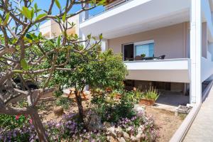 Zahrada ubytování Plumeria Apartment Sitia