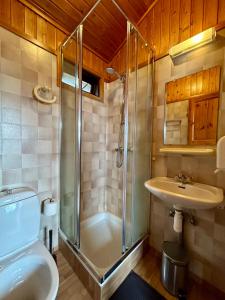 a bathroom with a shower and a toilet and a sink at Arhus Cottage and Camping in Hella