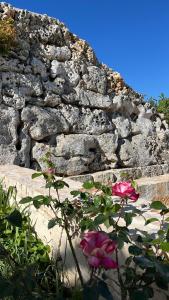a rock wall with pink roses in front of it at b&b Olio su Pietra in Castellana Grotte