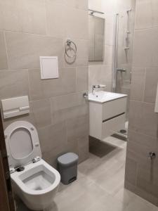 a bathroom with a toilet and a sink and a shower at Brand new apartments and hostel in center in Prague