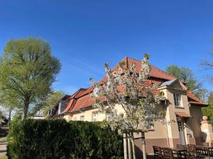 a house with a tree in front of it at VITA Ferienresidenz in Neu Kaliß