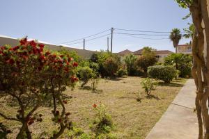 a garden with red flowers in a yard at Searocco Studios & Apartments - Close to Alykes Center, by ZanteWize in Alykes +25 photos
