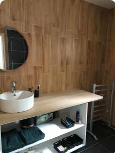 uma casa de banho com um lavatório e um espelho em Ty case péi em Saint-Aignan