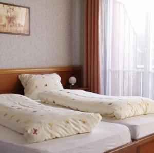 a bedroom with two beds with pillows and a window at Hotel zum Roten Löwen in Hildisrieden