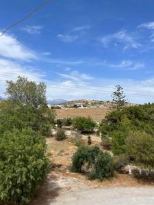 un campo con árboles y arbustos y un cielo azul en Ilios Kalamaki en Kalamaki Heraklion