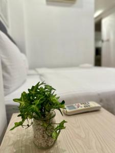 a potted plant on a table next to a remote control at Jazz Suites Seaview with Bathtub - 1603 in Tanjong Tokong