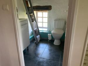 een badkamer met een toilet en een raam bij Maison des Roses in Saint-Savinien