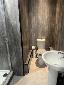 ein Bad mit einem WC und einem Waschbecken in der Unterkunft Balmaha Lodges and Apartments in Balmaha
