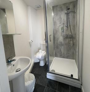 uma casa de banho com um chuveiro, um lavatório e um WC. em The Norton- Hartlepool em Seaton Carew