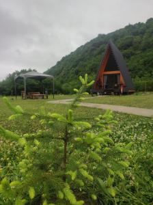 Paesaggio naturale nelle vicinanze di questo campeggio di lusso