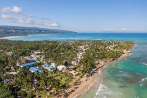an aerial view of the beach and the ocean at Hotel Atlantis in Las Terrenas