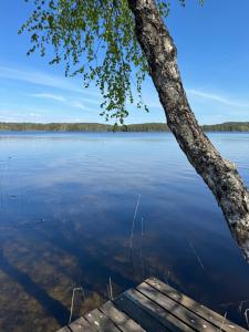 un arbre et un quai sur un lac dans l'établissement Verlan Satumaa, à Verla