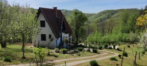 ein kleines Haus in einem Garten mit einer gewundenen Straße in der Unterkunft Vikendica Popović in Doboj