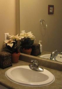 un comptoir de salle de bain avec un lavabo et un miroir dans l'établissement Marine Drive Station Entire House, à Vancouver 9 autres photos