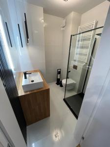 a bathroom with a sink and a toilet at Apartamenty Cieszyn in Cieszyn +20 photos