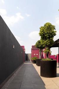 Gambar di galeri bagi New Chic Condo with Gym Access & Private Roof di Mexico City