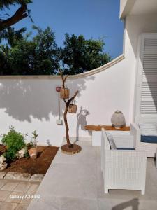 patio z drzewem bonsai i ławką w obiekcie Casa Flavia w mieście Torre Chianca