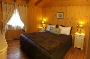 a bedroom with a large bed and a window at Santa Monica Aparts in El Calafate