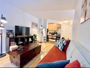 Il comprend un salon doté d'un canapé et d'une télévision à écran plat. dans l'établissement Cozy accommodation in Chelsea, à New York