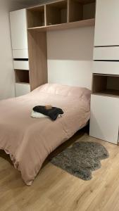 ein Schlafzimmer mit einem Bett und einem Teppich auf dem Boden in der Unterkunft VILLA LENA in Sainte-Geneviève-des-Bois
