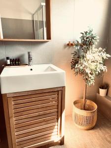 ein Badezimmer mit einem Waschbecken und einer Topfpflanze in der Unterkunft Le Blanc in Dassia