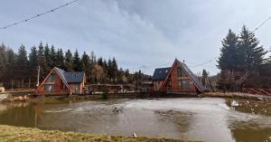 a couple of houses sitting on top of a pond at LA CABANE in Comandău