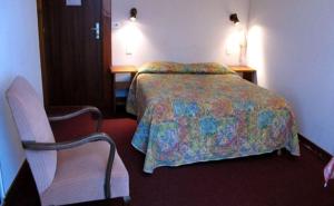 une chambre d'hôtel avec un lit et une chaise dans l'établissement Hotel Restaurant - Acacias Bellevue, à Veyrier-du-Lac