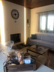 Gallery image of GUESTHOUSE ''ΧΡΥΣΑ'' in Dhimitsana